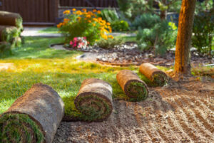 sod and turf